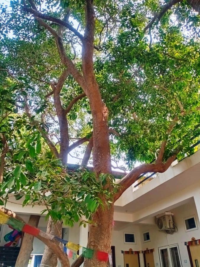 Green Hub Pushkar Villa Kültér fotó